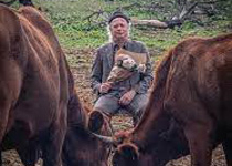 'Serendipitat o el desbaratament dels poetes'