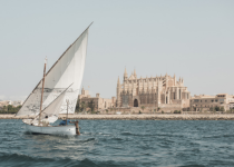 BIENNAL B – Alberto Baraya. Llatina i Mestral