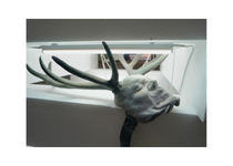 Bernardi Roig. L'habitació vermella