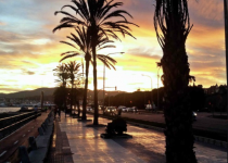 Dia de Sant Valentí a Palma de Mallorca