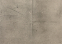 'I Only Shop At Gas Stations'