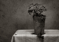  'Toni Catany. Altars profans'